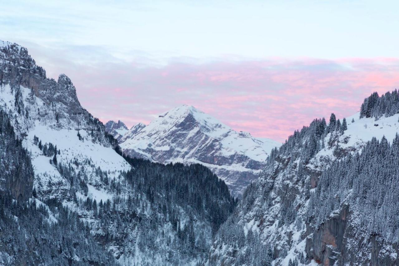 Rockypop Flaine Appartements & Spa Zewnętrze zdjęcie